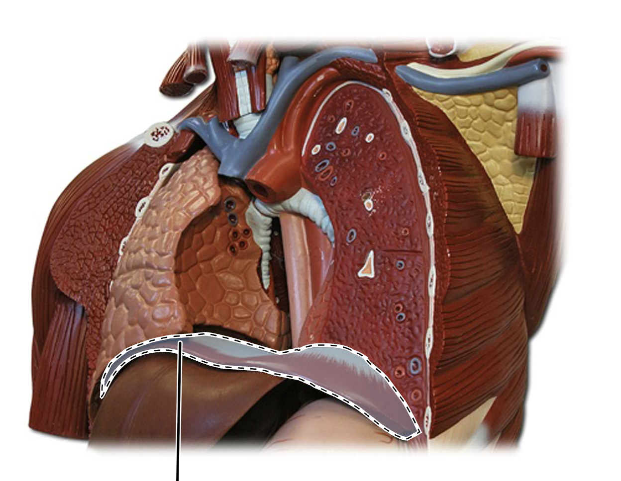 <p>What is this?</p>