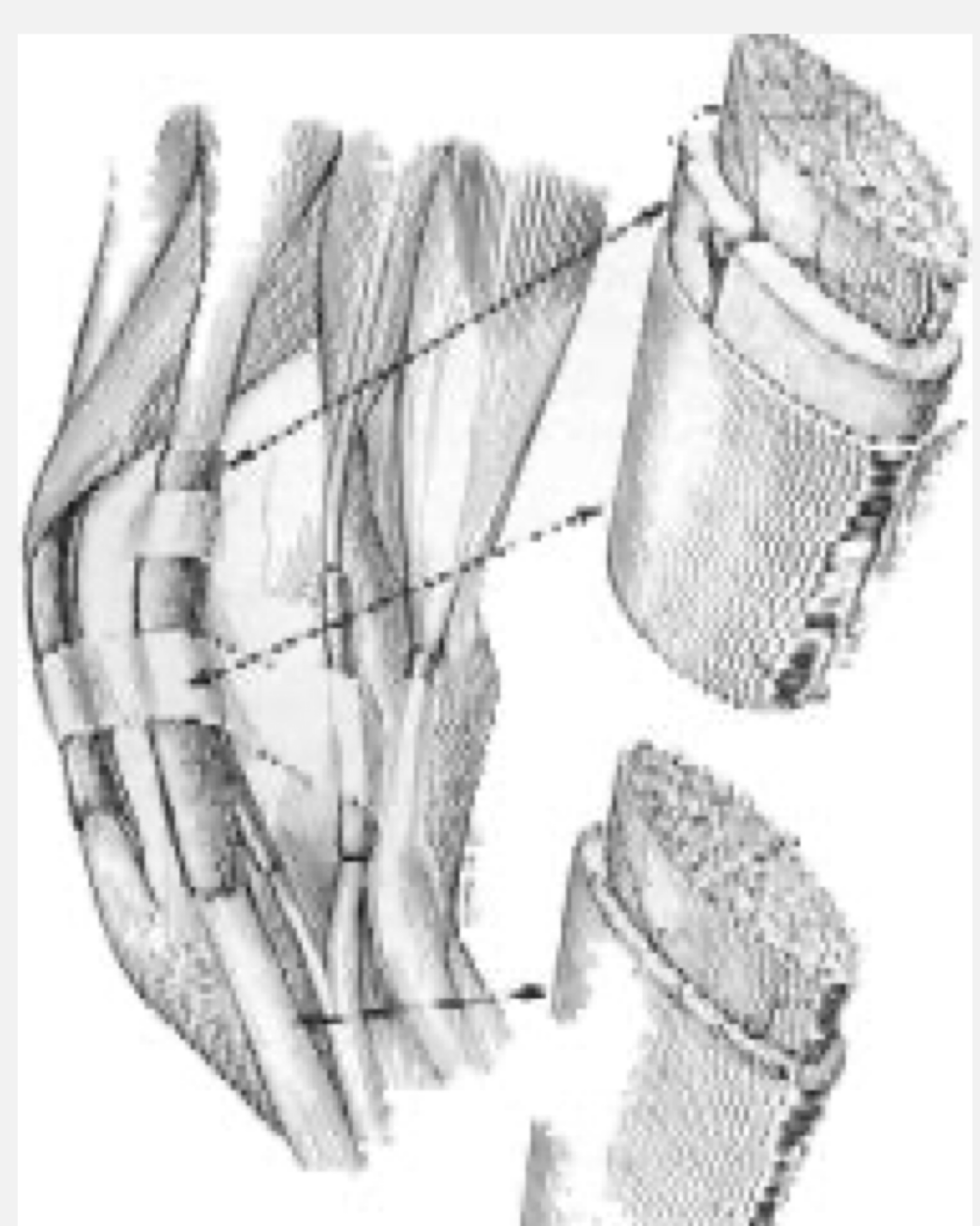 <p>like bursae but wrap around tendon where they pass over joints</p>