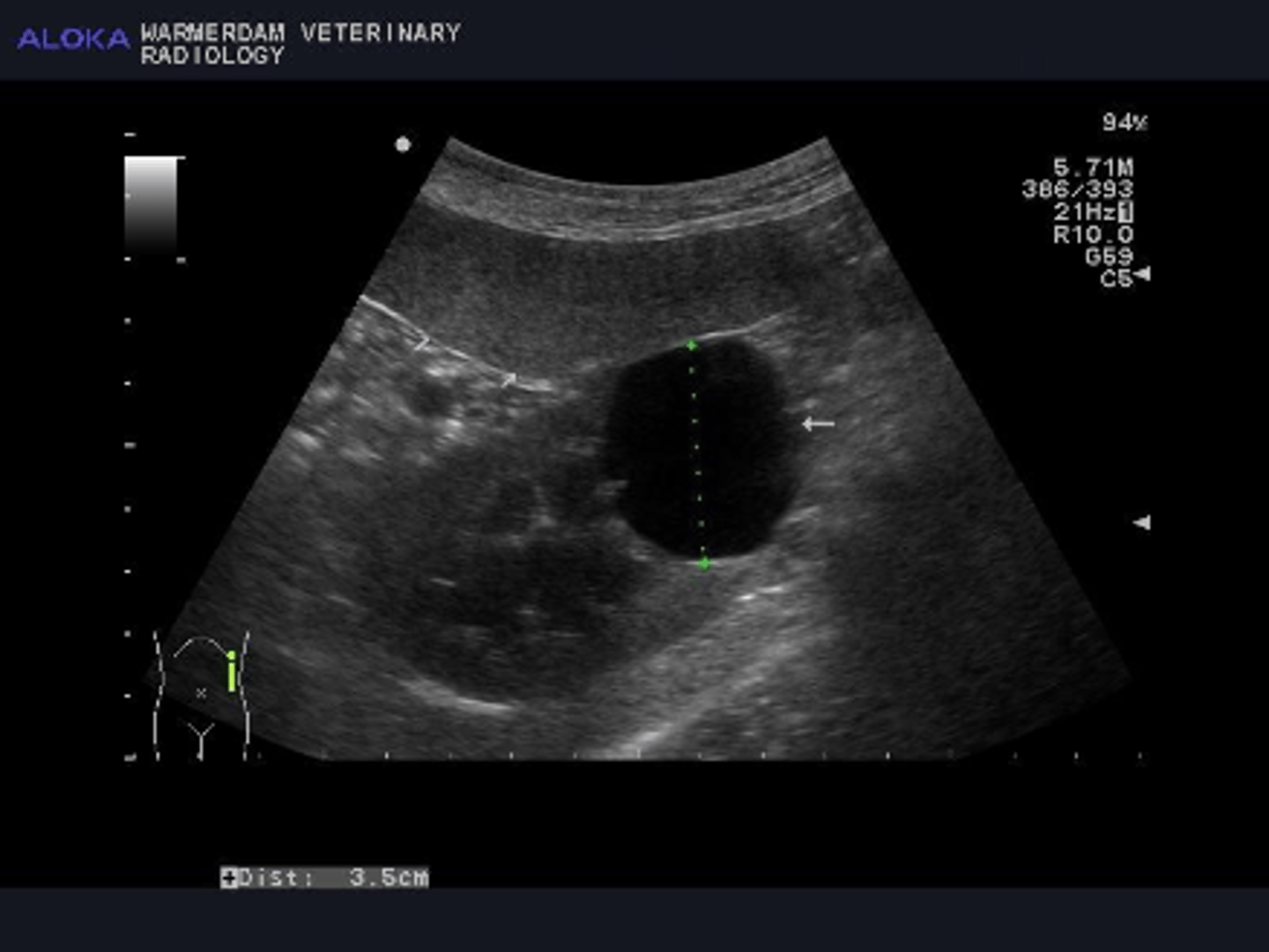 <p>Met welke term uit de echografie kunnen we een nier best beschrijven</p>