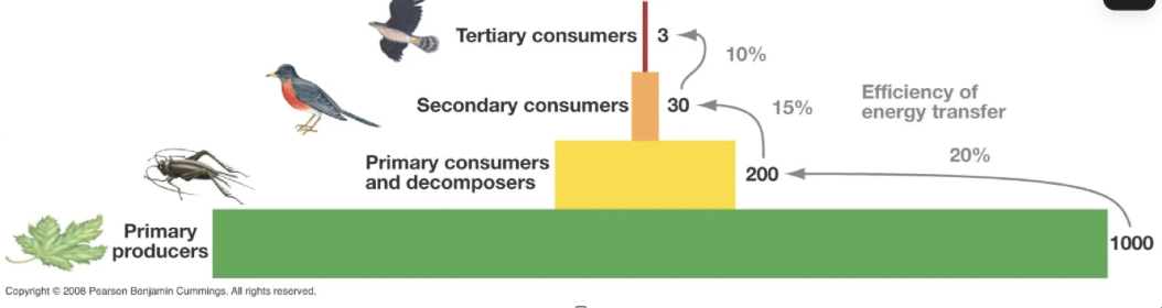 <p>what is the unit for pyramids of biomass and pyramids of energy </p>