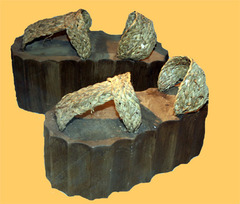 Thick-soled elevator shoes worn by actors in a Greek drama playing gods or royalty.