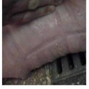 <p>Consistency</p>
