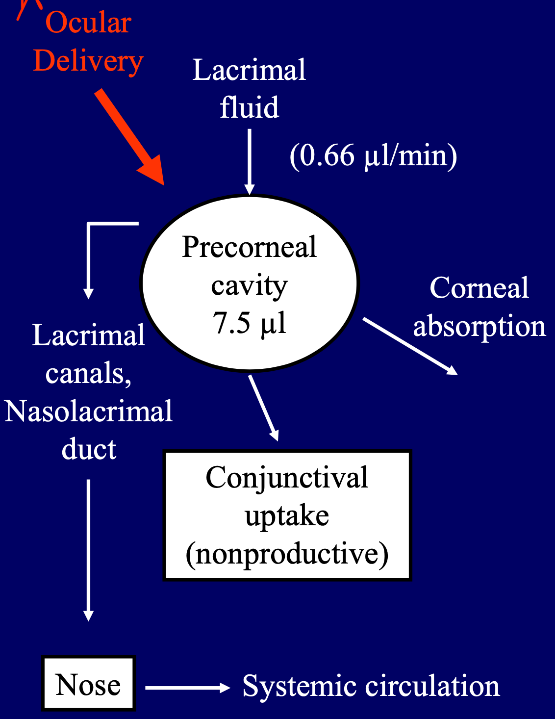 * Solution instilled as eye drops into ocular cavity may disappear from precorneal area of eye by any of composite of following routes:
  * Nasolacrimal drainage
  * Tear turnover
  * Productive corneal absorption
  * Nonproductive conjunctival uptake
