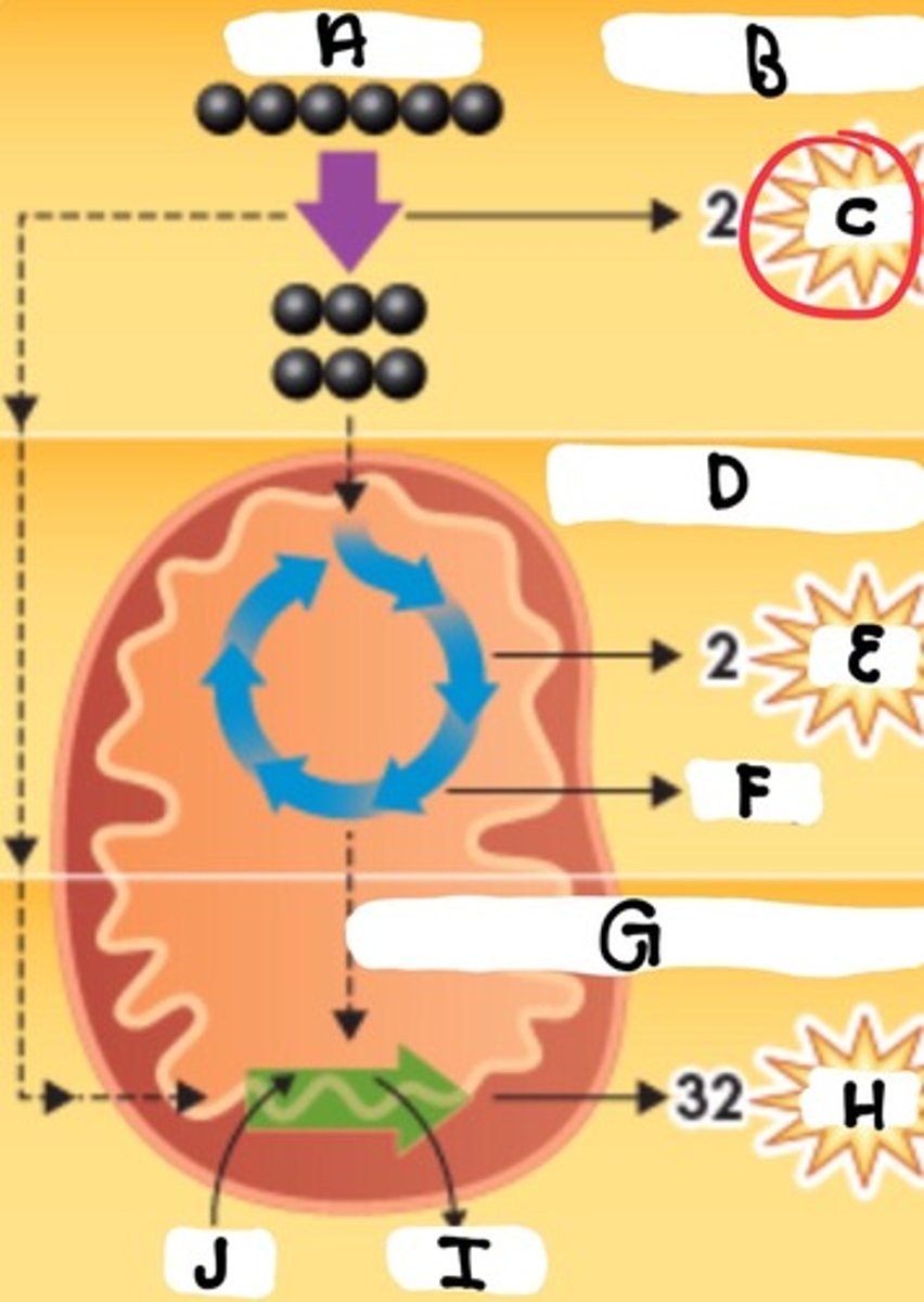 <p>What is part C</p>