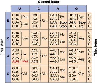 <ol><li><p>Find the first letter in the horizontal row</p></li><li><p>Find the second letter in the vertical column</p></li><li><p>Find the third letter in a box within the horizontal and vertical</p></li></ol><p></p>