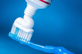 <p>move by oozing, have glassy cell walls</p><p>ex: ground up for use in toothpaste and diatomaceous earth</p>