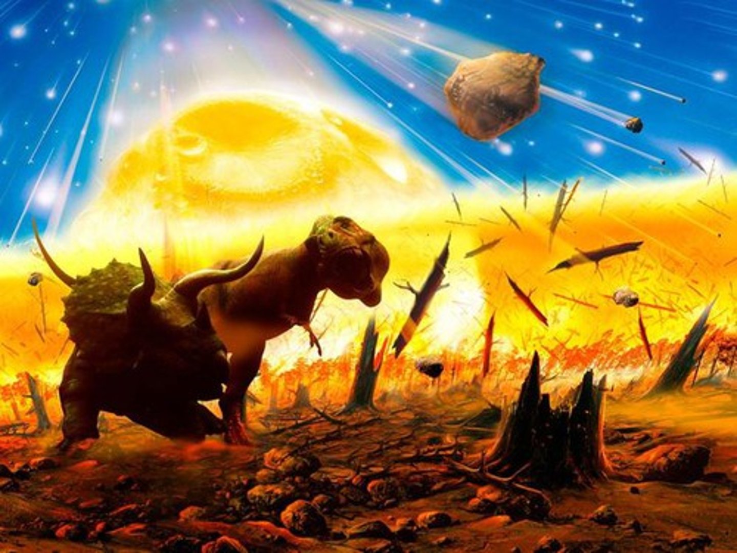 <p>periods of <strong>mass extinction</strong></p><ul><li><p>EX: meteor that killed all the dinosaurs represented end of Cretaceous period</p></li></ul>