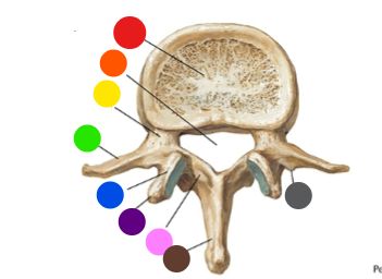 <p>What is the structure at the green dot?</p>