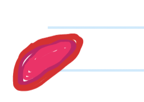 <p>Connective Tissue: What tissue is this and the function?</p>