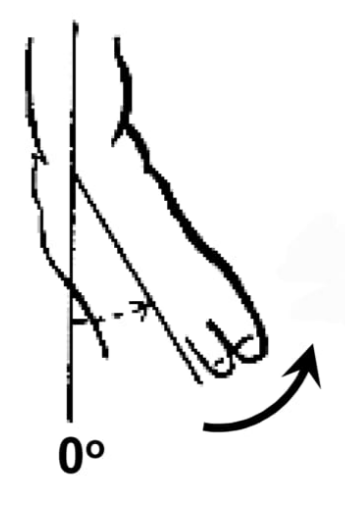 <p>Ankle internal rotation</p>