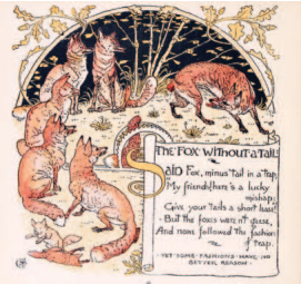 <p>Label the Illustrator</p>