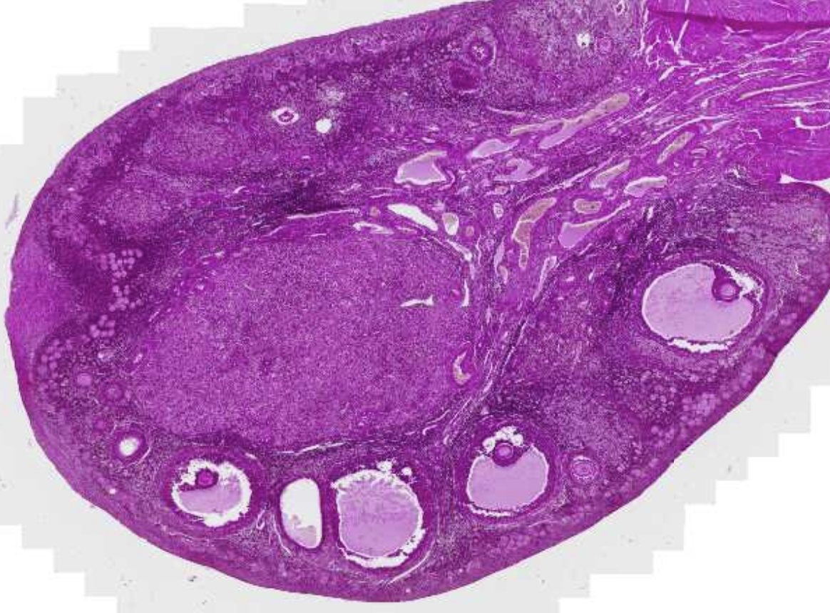 <p>What is this?</p>