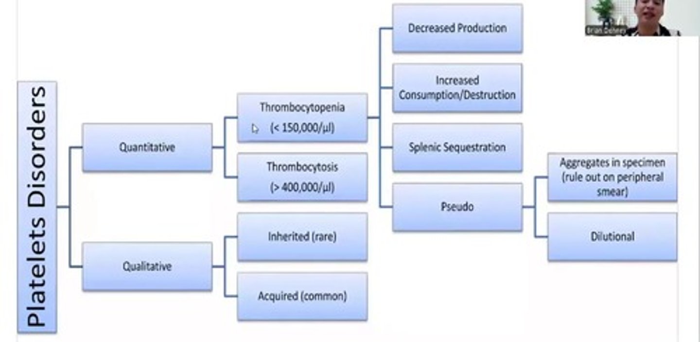 <p>Disorders affecting connective tissue and blood vessels.</p>