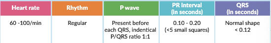 <ol><li><p>Heart Rate</p></li><li><p>Rhythm</p></li><li><p>P Wave</p></li><li><p>PR Interval</p></li><li><p>QRS</p></li></ol><p></p>