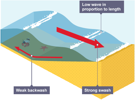 <p><strong>Constructive Waves</strong></p>