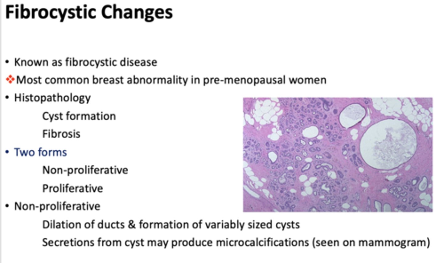 <p>fibrocystic disease</p>