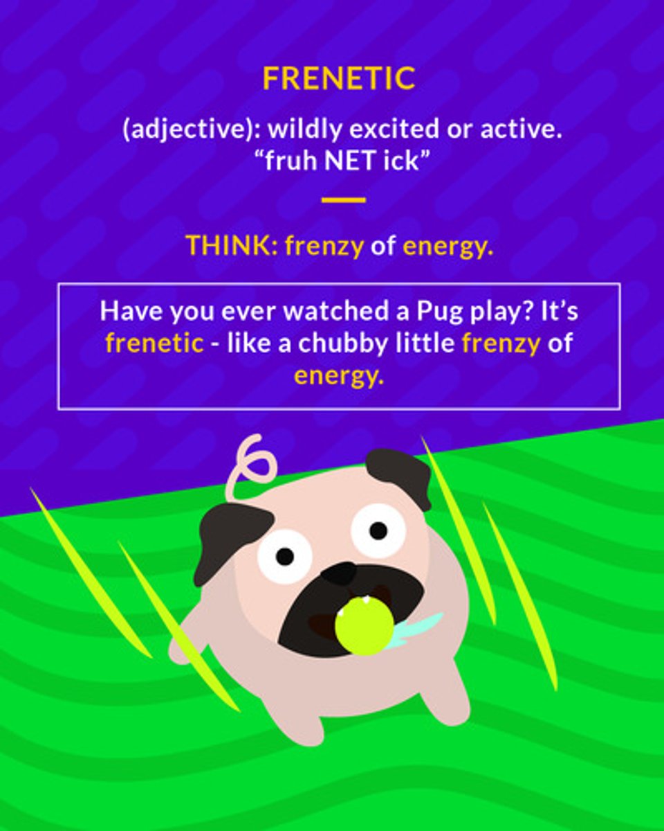 <p>(adj.) wildly excited or active</p>