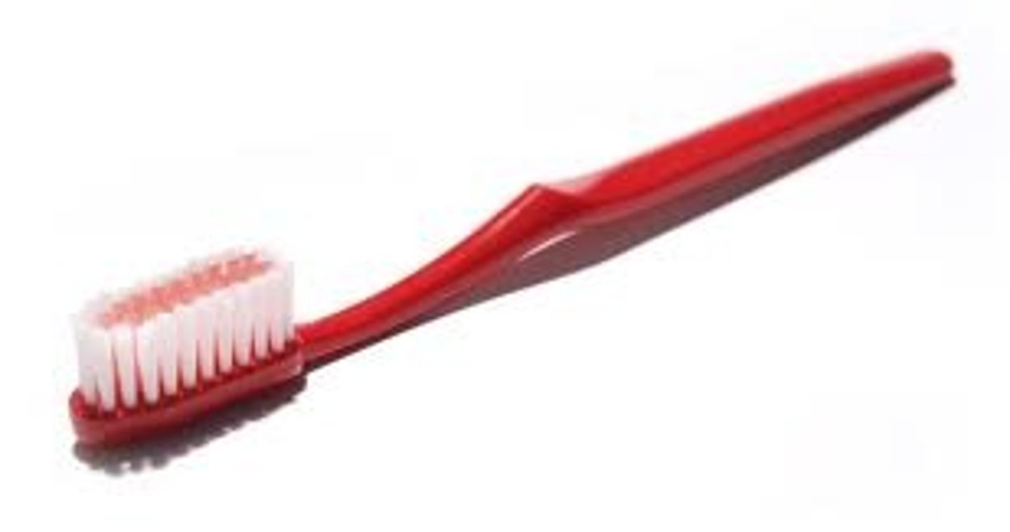 <p>the toothbrush</p>
