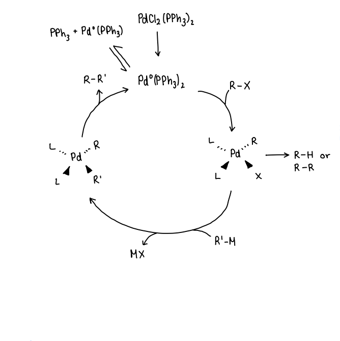 <p>What occurs in a general catalytic cycle for Pd catalysed C-C couplings?</p>