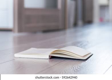 <ul><li><p>I put</p></li><li><p>I put a book on the floor</p></li></ul><p></p>