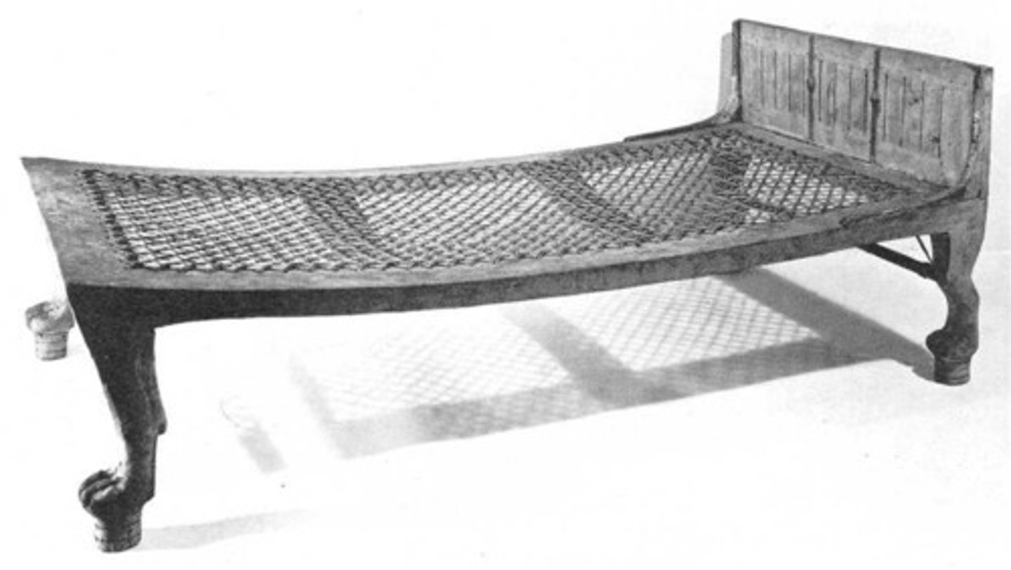 <p>Egyptian</p>