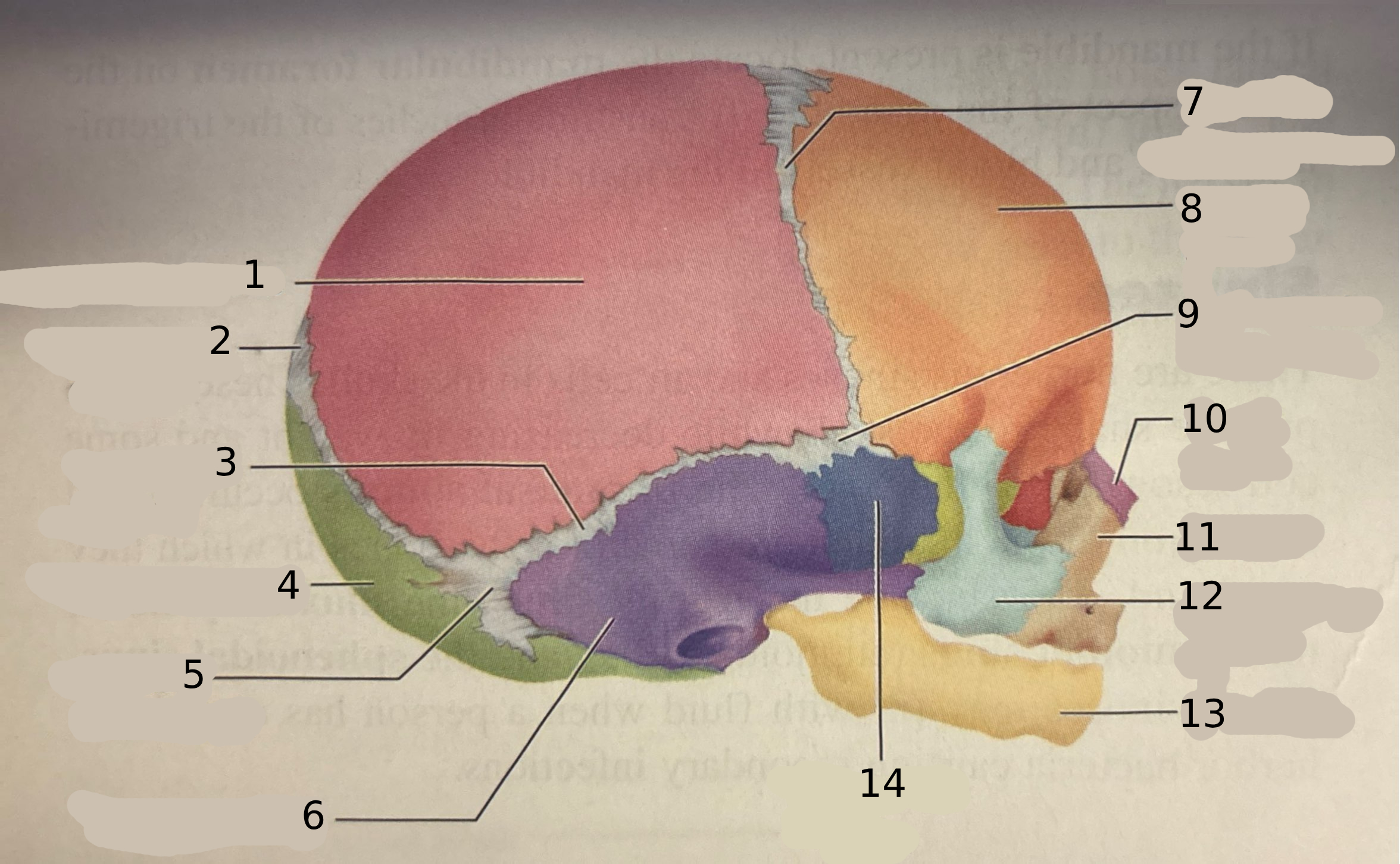 <p>#2</p>