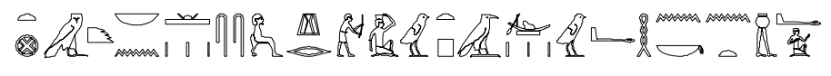 term image