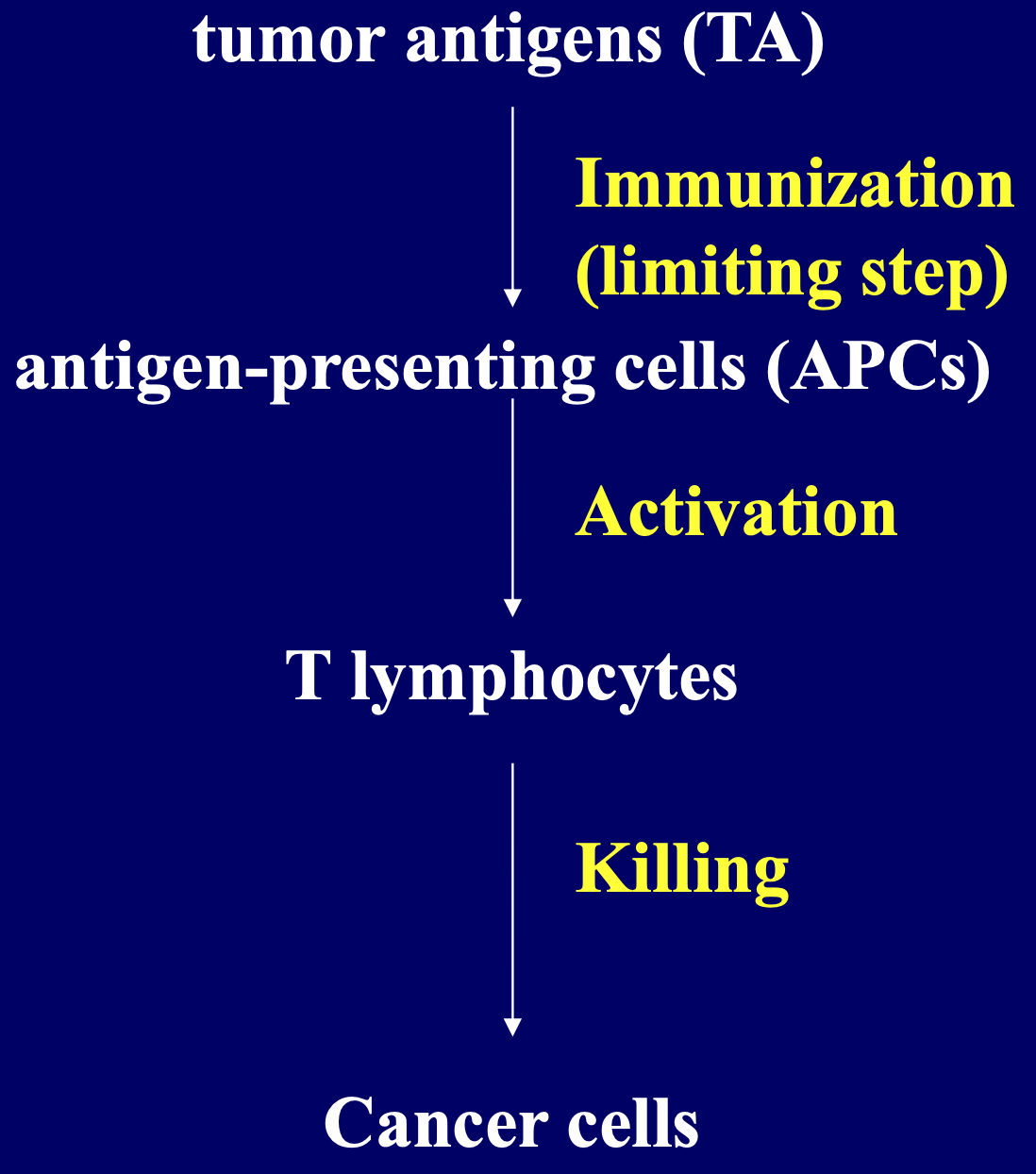 * Cancer treatment by vaccines includes 3 main steps:
  * Immunization
  * Activation of immune system
  * Killing of cancer cells
* Treated cancer cells, cancer cell-dendritic cell conjugates or cancer specific peptides might be used as tumor antigens