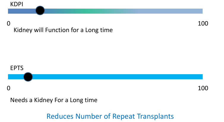 <p>-pediatric recipients &lt;18 do not receive an EPTS score</p><p>-pediatric candidates have 1st offer &lt;KDPI 35</p>