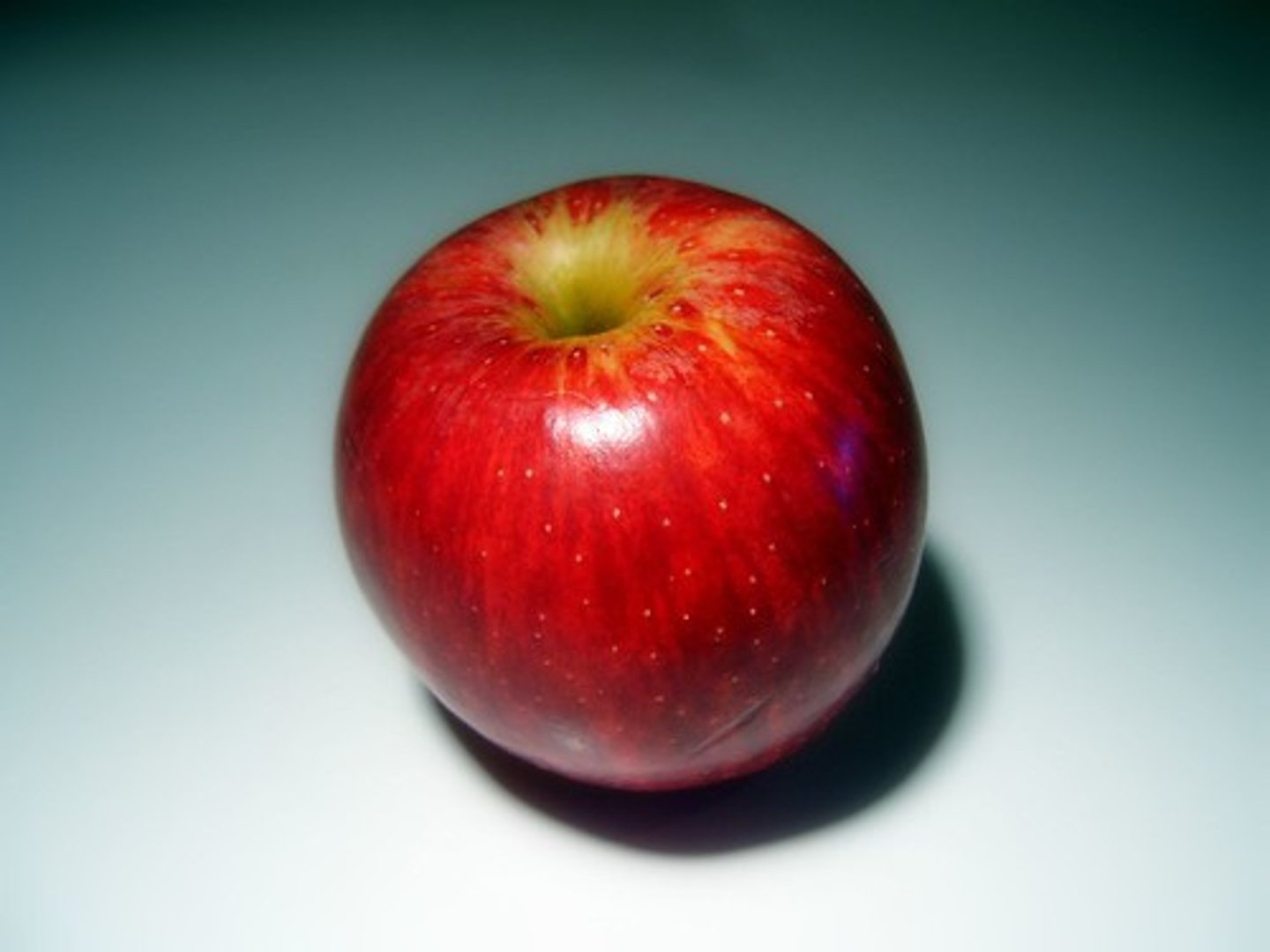 <p>a round fruit</p>