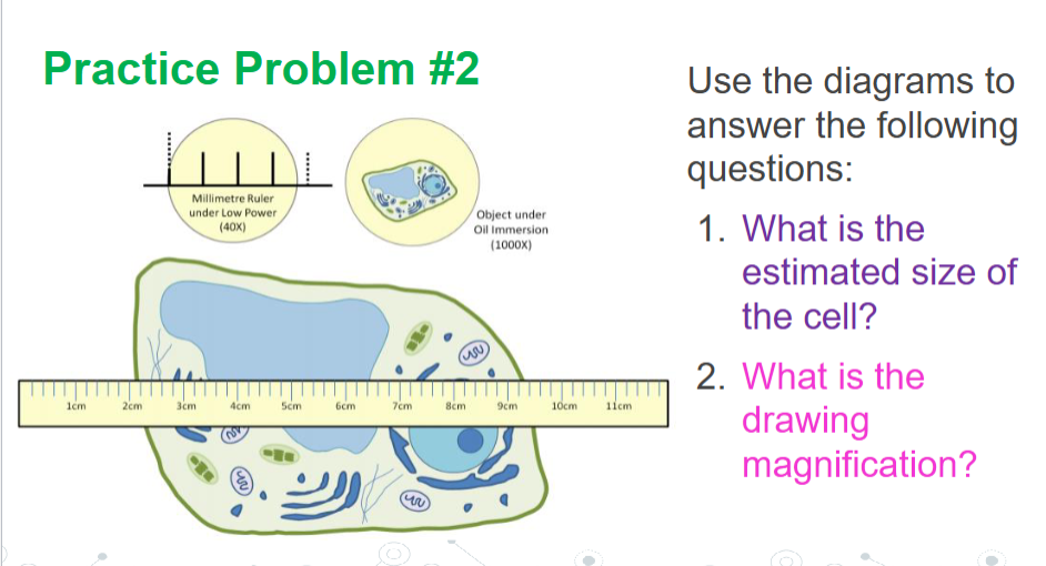 <p>Answer #2</p>