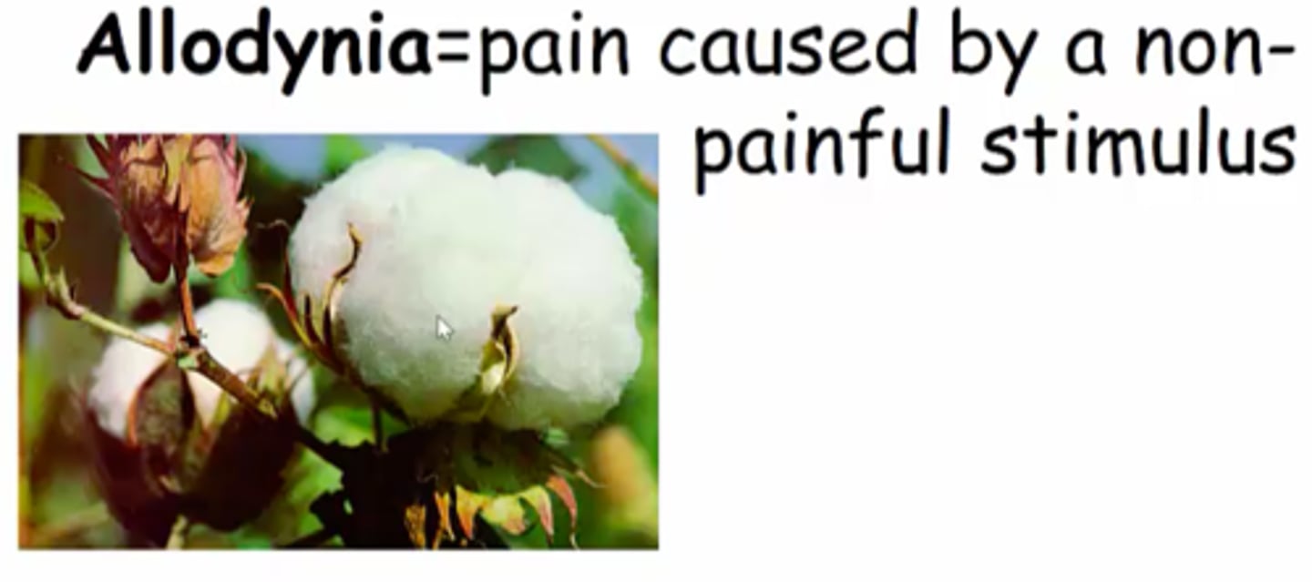 <p>associated with opioids with active metabolites typically</p><p>- morphine</p><p>- codeine</p><p>- oxycodone</p><p>- hydromorphone</p><p>-meperidine</p><p>signs: allodynia, delirium, hallucinations, hyperalgesia, hypersomnolence, myoclonus, tremor, seizures</p><p>risk factors: high dose, rapid dose increase, dehydration, renal failure, systemic infection, elderly</p><p>management: </p><p>- symptomatic treatment (benzos for myoclonus)</p><p>- dose reduction</p><p>- opioid rotation to non-toxic agen</p><p>- rehydration</p>