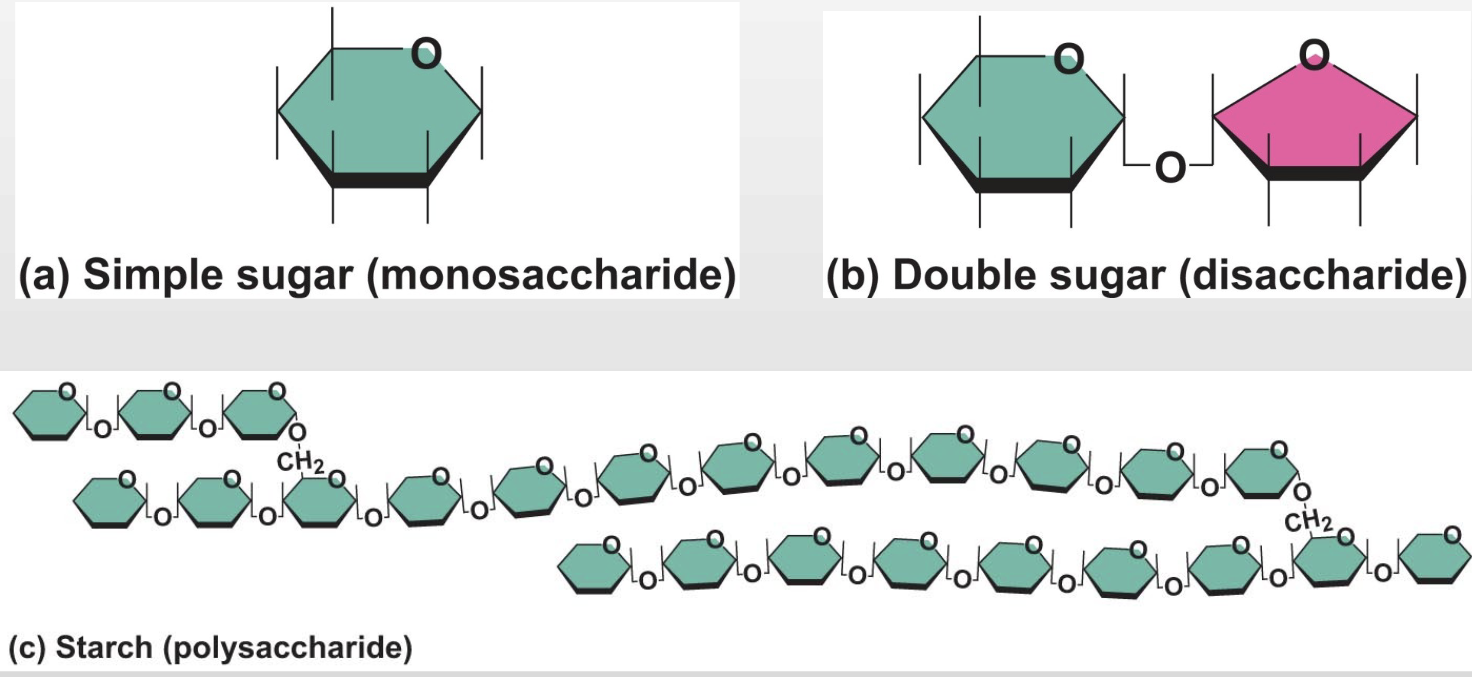 <p>-made of carbon, hydrogen, and oxygen&nbsp;</p>