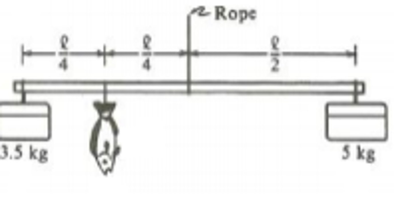 <p>3 kg.</p><p>3 multiple choice options</p>