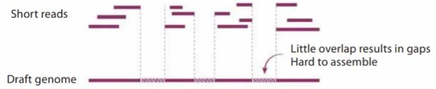 <p>Short reads (300-500 DNA base pairs long) result in little overlap meaning there are more gaps in the draft genome and it is hard to assemble. Missing sequence leads to missed genes and limits biological interpretation </p><p></p>