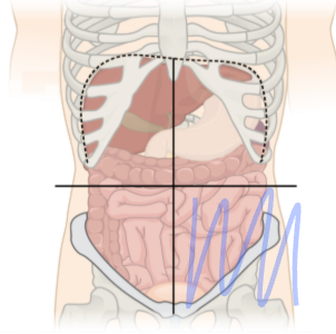 <p>what is the shaded region called?</p>