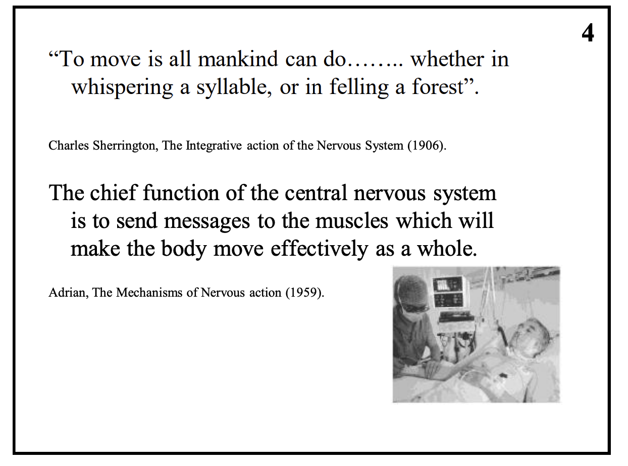 <p><strong>Understanding motor system is relevant to understanding behaviour</strong></p><ul><li><p>note: its it not that it is dominant of most important </p></li><li><p>instead: all conscious and unconscious beahviour <strong>involve the motor system</strong></p><ul><li><p>e.g animal with memorty of where it stored food can only use this memory if it can move to get the food→ otherwise no point)</p></li><li><p>e.g Movement disorder are cardinal signs of CNS damage</p><ul><li><p>understanding it helps to identify the <strong>location</strong> and <strong>possible</strong> cause of CNS pathology</p></li></ul></li></ul></li></ul><p></p>