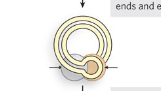 <p>The free 3’OH groups attack the other strand to make the <strong>hairpin structure</strong> and <strong>excise </strong>the segment from the donor  </p>