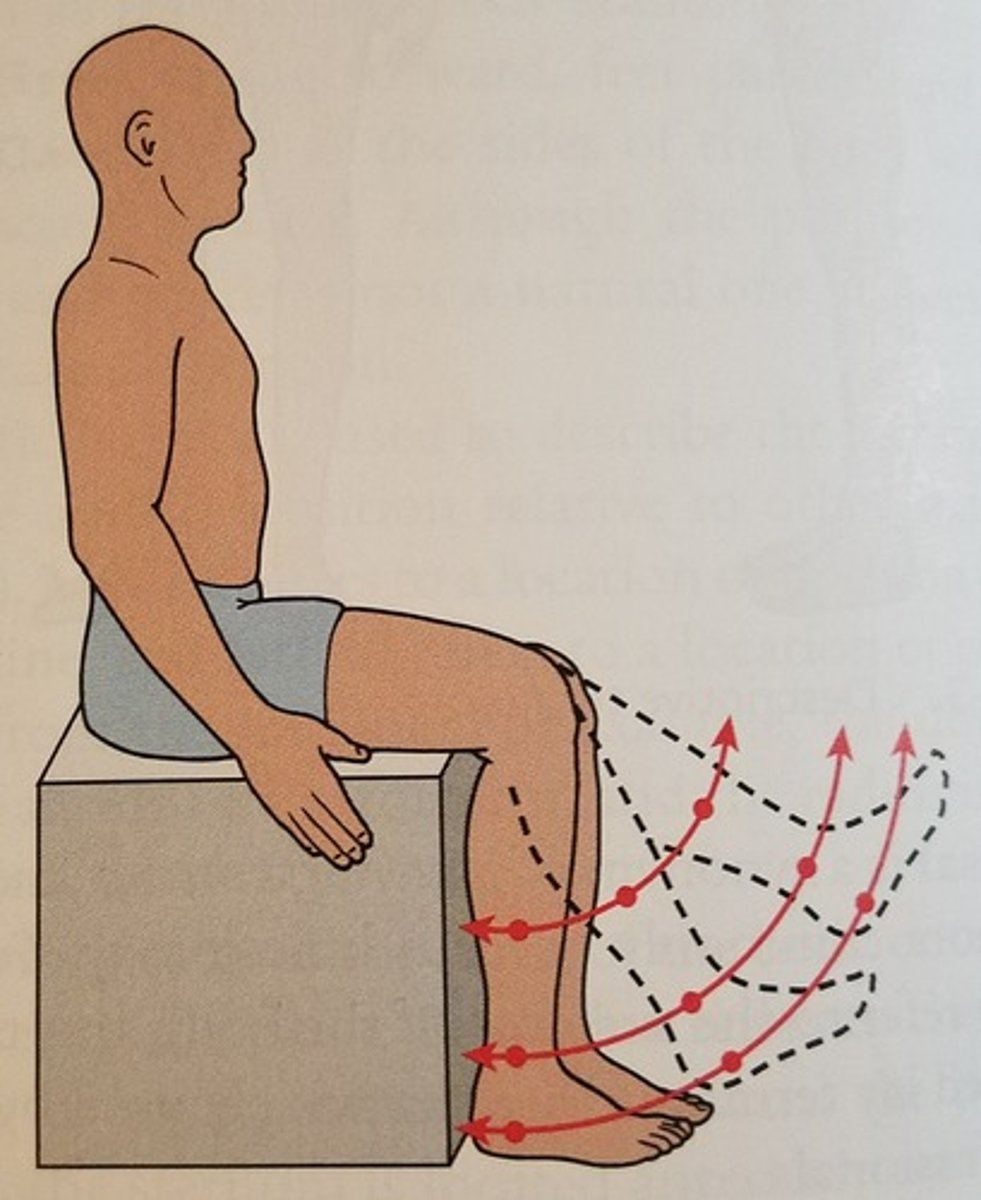 <p>Movement around a fixed point (axis), where all parts of the object move through the same angle, in the same direction, and at the same time, but not the same distance (e.g., knee flexion/extension).</p>