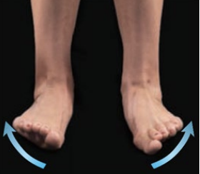 <p>turning plantar surface outward</p>