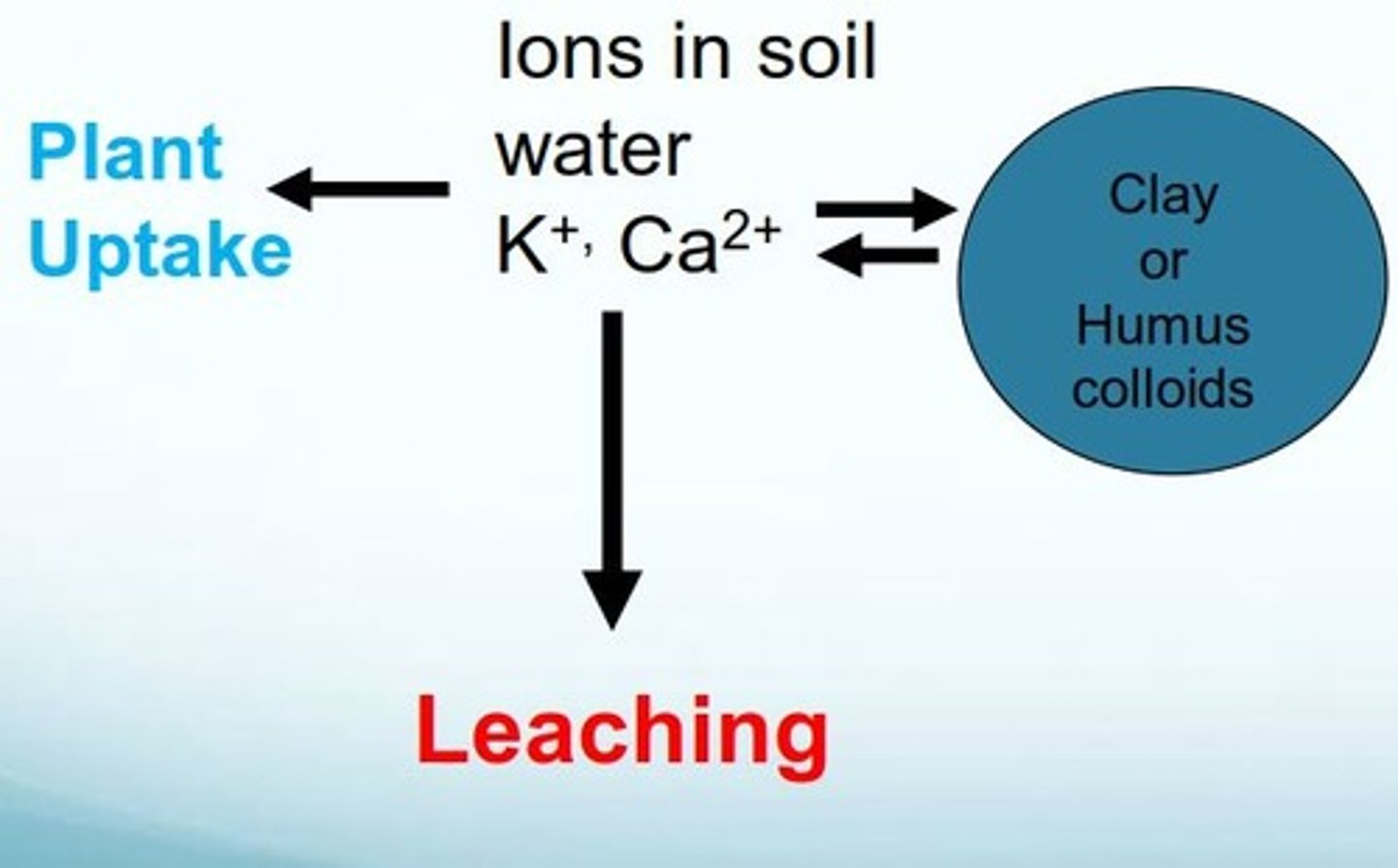 <p>the ability of a particular soil to absorb and release cations</p>
