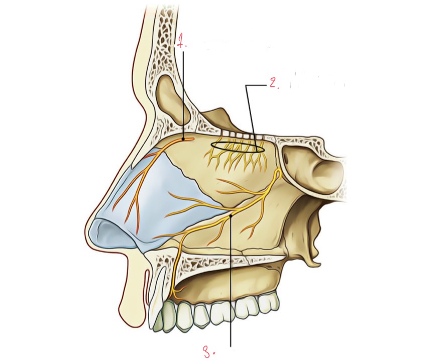 <p>Label the following</p>