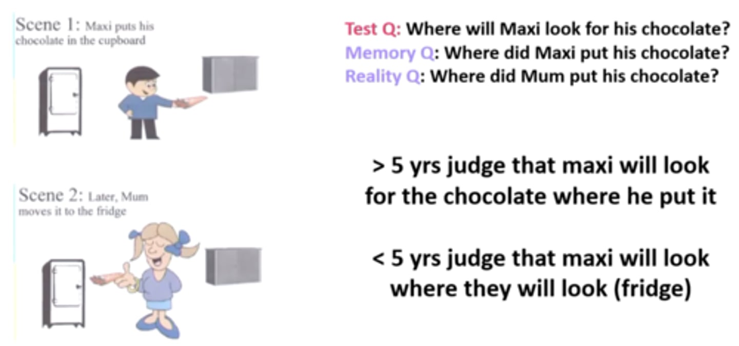 <p>Whether the child understands that where they know the chocolate is (fridge) will be different to where maxi will think the chocolate is (in the cupboard). Can children think in Maxi's perspective and put aside their own? </p><p>'where will Maxi look for his chocolate?' </p>