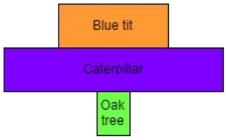 <p>Why is this pyramid of numbers not shaped?</p>