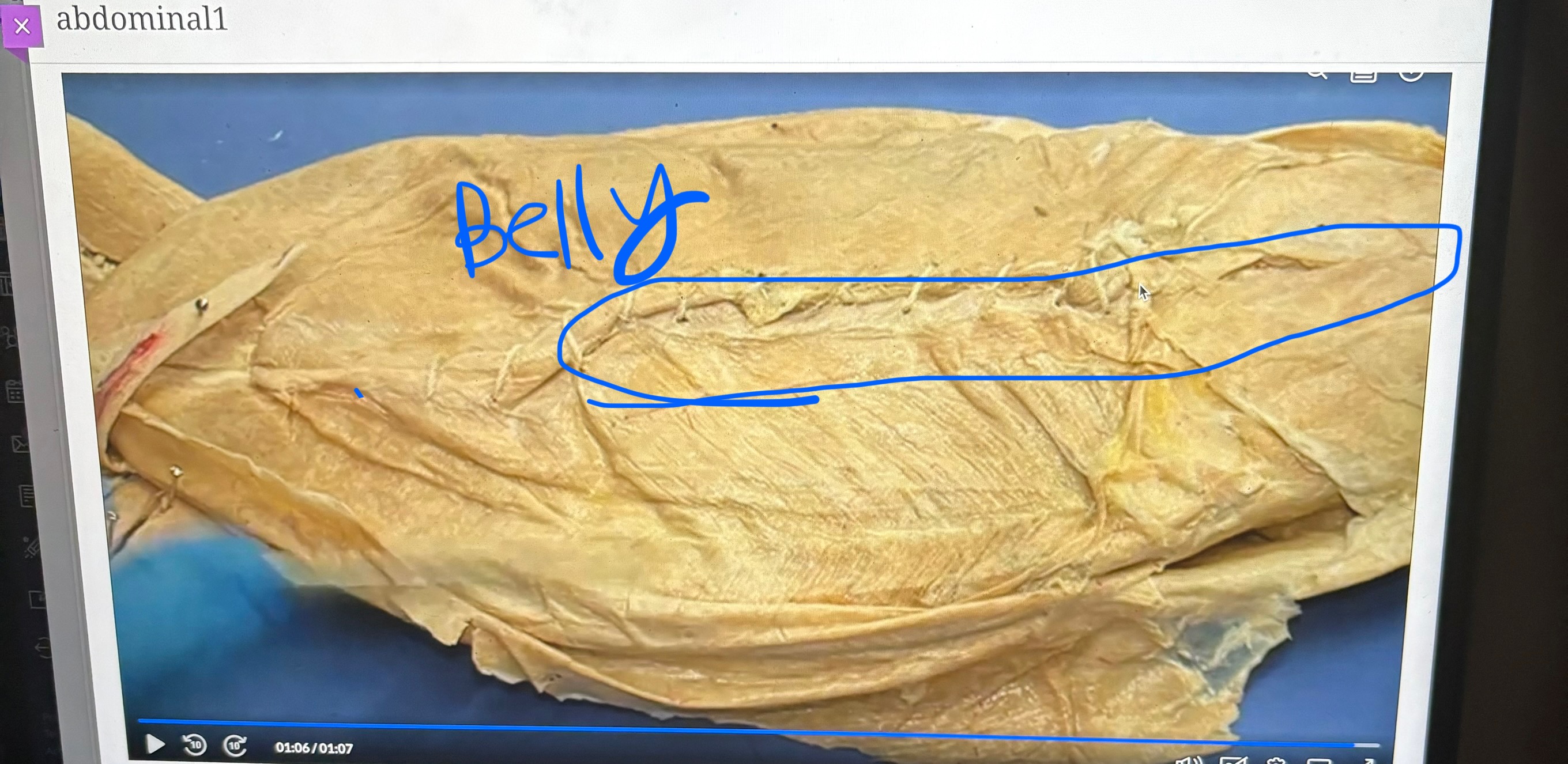 knowt flashcard image