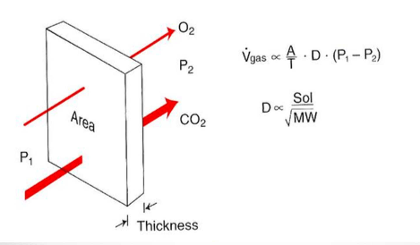 <p>chemical nature of the membrane itself</p><p>surface are of the membrane</p><p>partial pressure gradient of the gas across the membrane</p><p>thickness of the membrane</p>