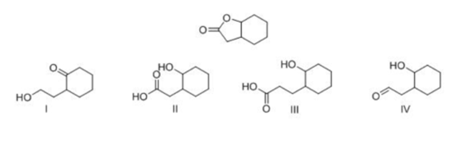 <p>B</p>