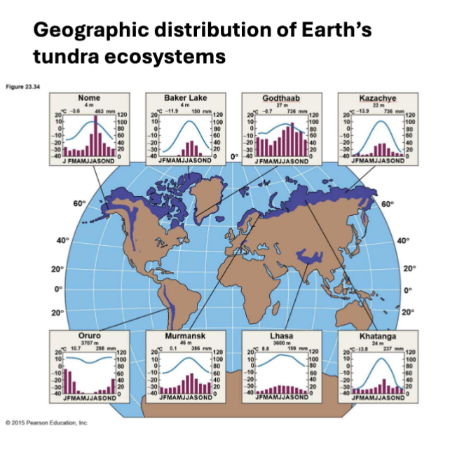 <p>very cold, very low precipitation</p>