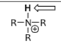 <p>protonated amines</p>