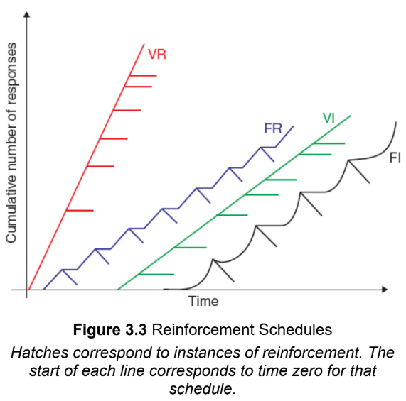 <p>variable-ratio works the fastest for learning a new behavior, and is also the most resistant to extinction (Very Rapid and Very Resistant)</p><p>e.g. gambling</p>